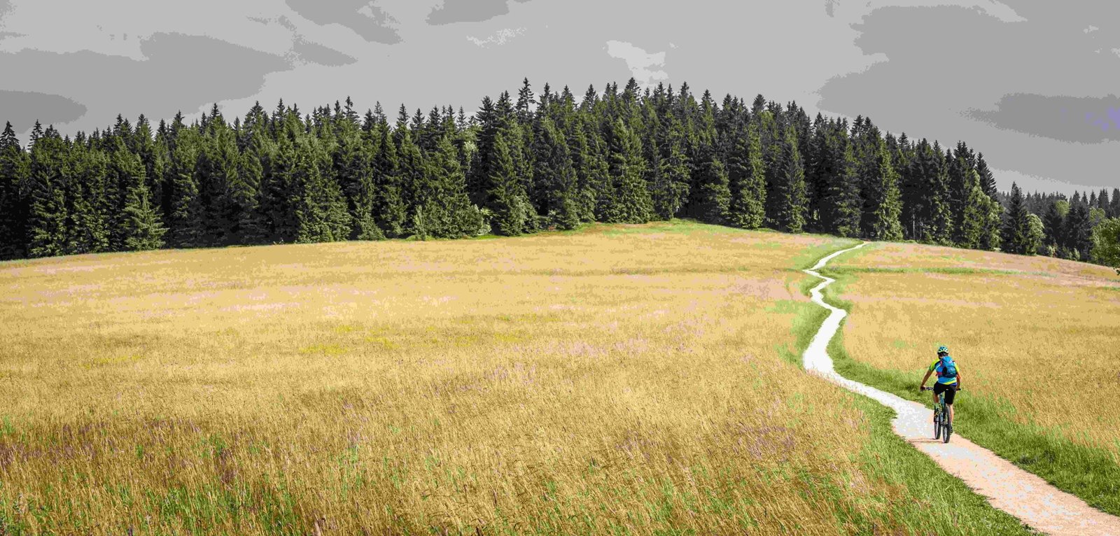 hrabeticka louka na kole scaled