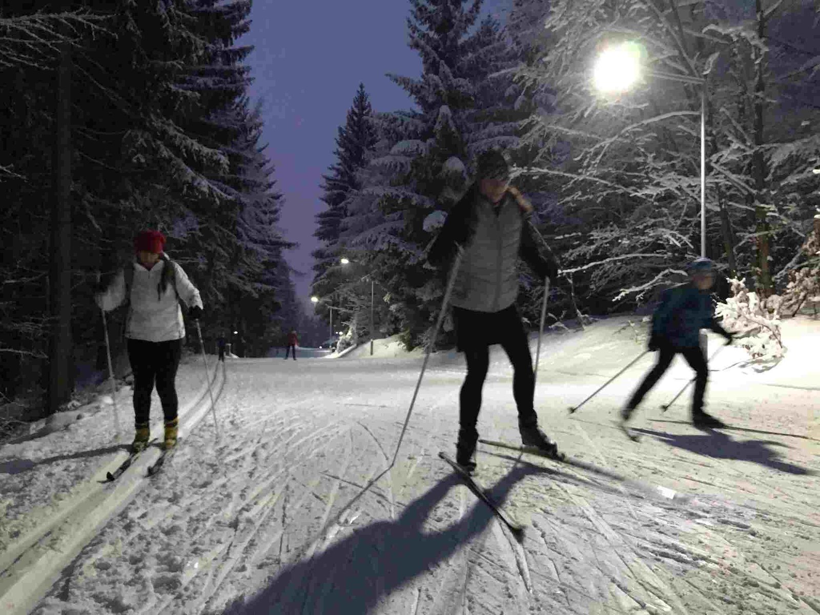 vecerni skola lyzovani